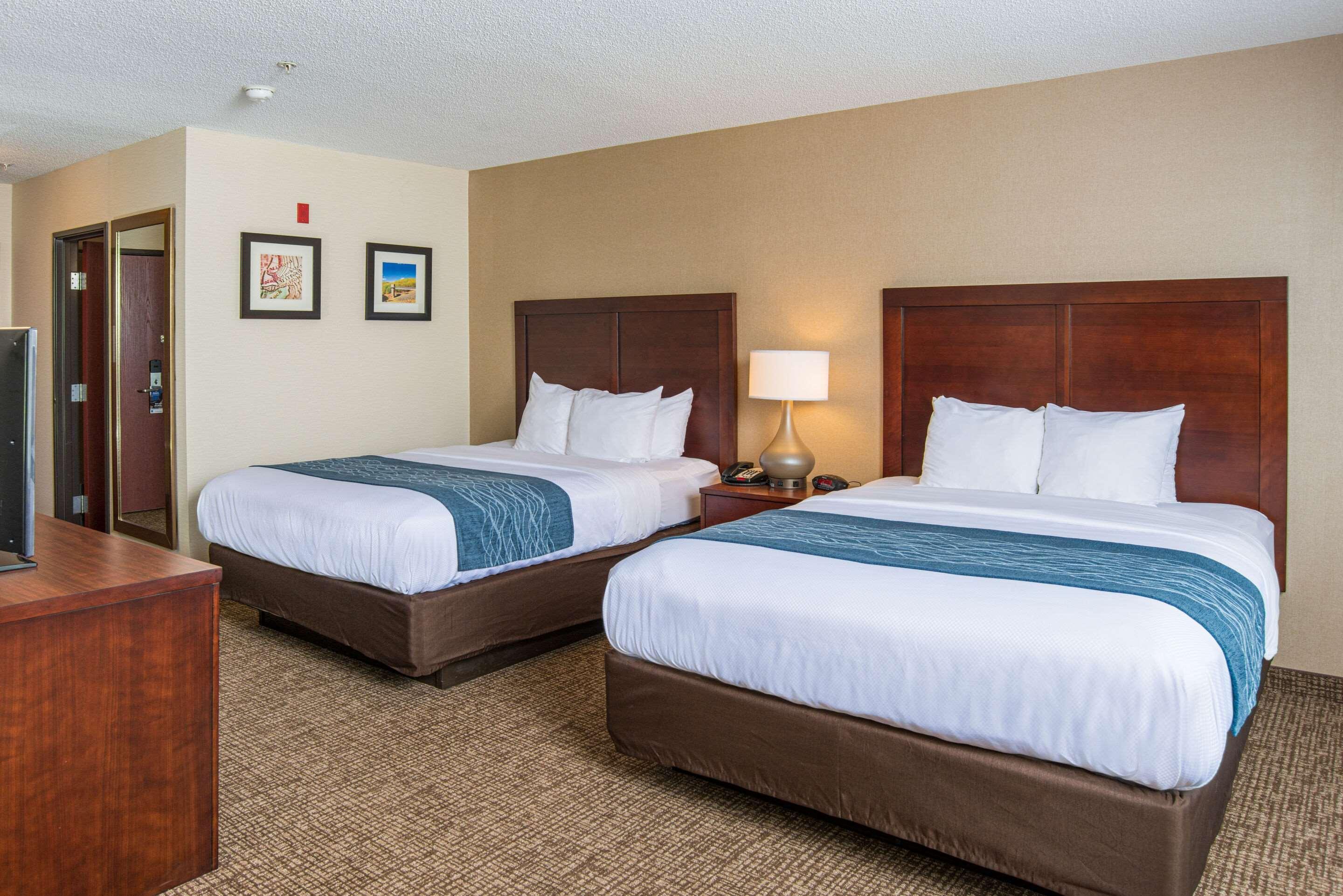 Comfort Inn Naugatuck-Shelton, Ct Экстерьер фото