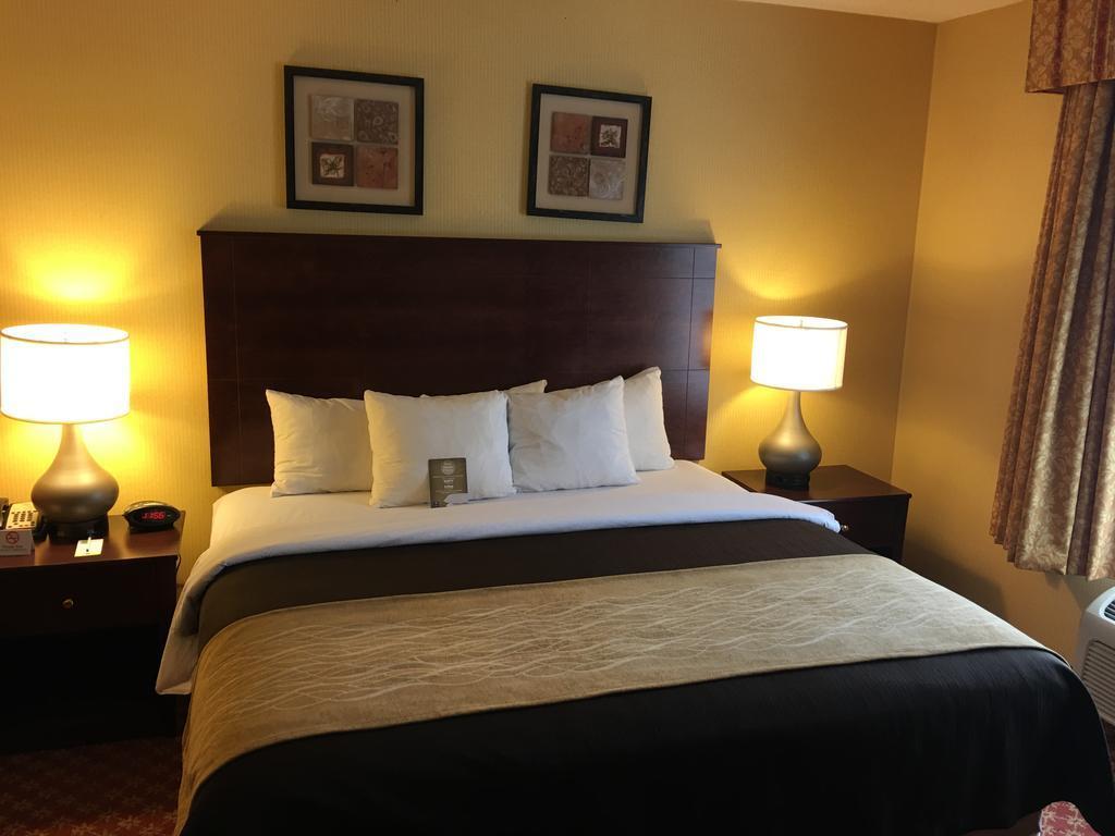 Comfort Inn Naugatuck-Shelton, Ct Экстерьер фото