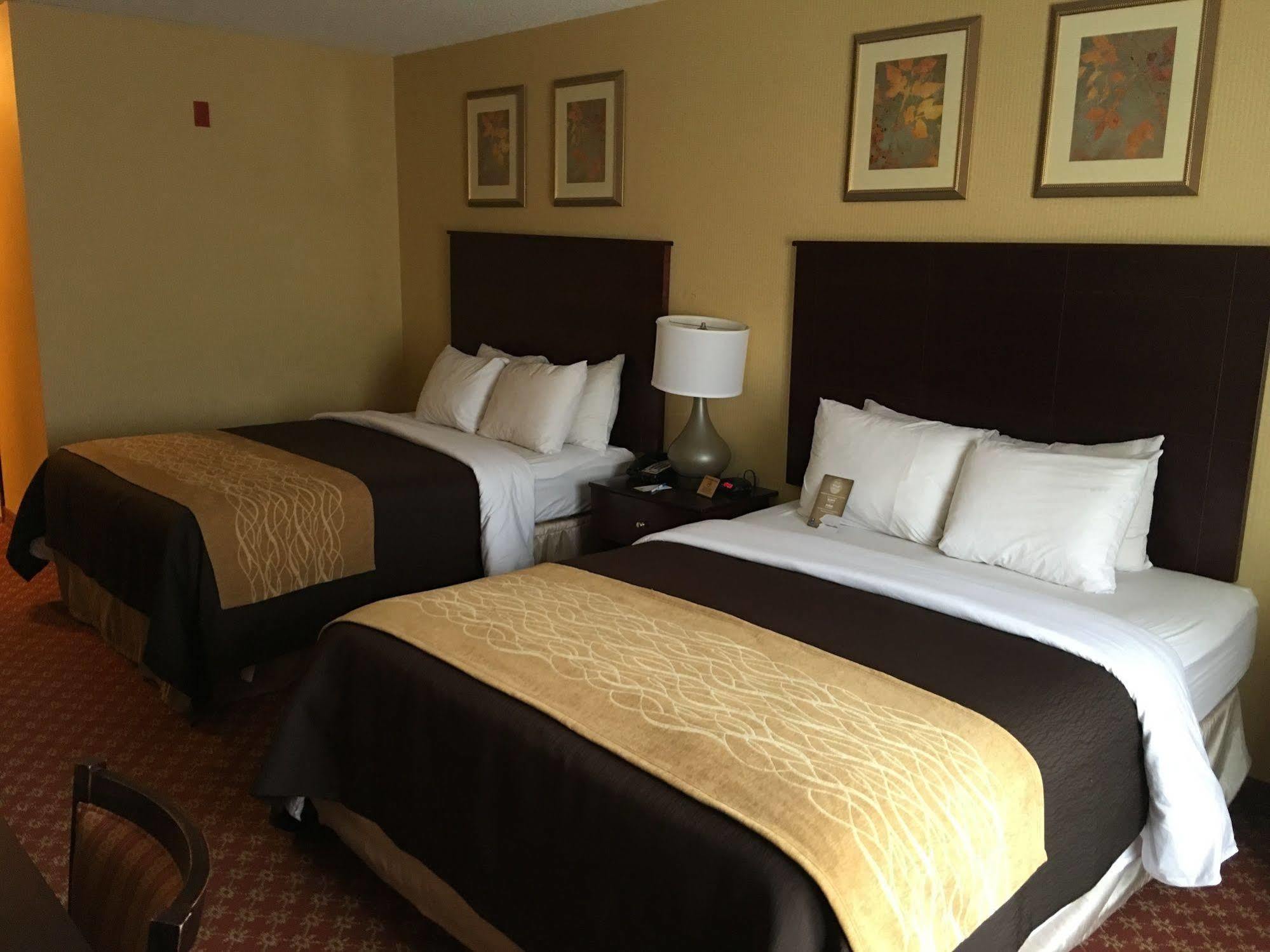 Comfort Inn Naugatuck-Shelton, Ct Экстерьер фото